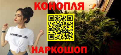 сатива Ставрополь