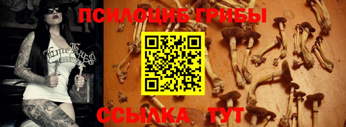 Галлюциногенные грибы Magic Shrooms Новый Уренгой