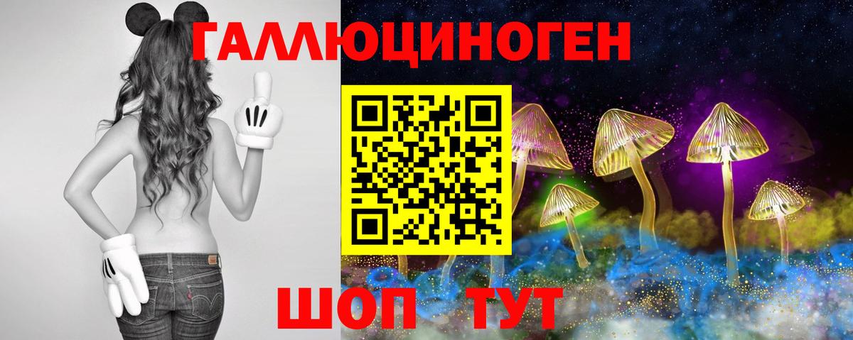 Псилоцибиновые грибы Psilocybe  Вход с VPN  Новый Уренгой 